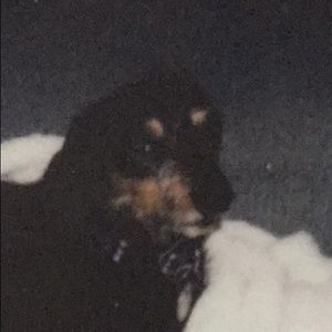 Meet your Posher, Katie